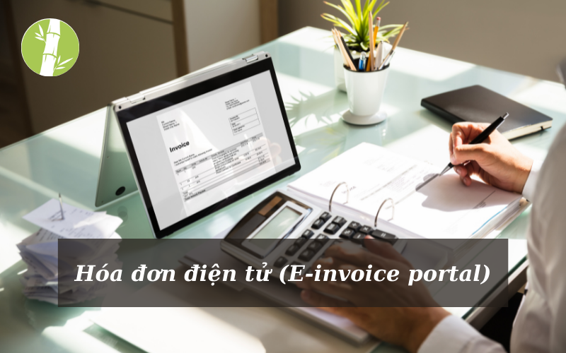 hoa-don-dien-tu-(E-invoice portal)