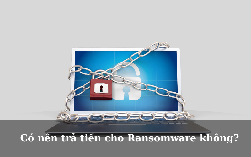 co-nen-tra-tien-cho-ransomware-khong