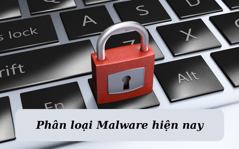 phan-loai-ma-doc-ransomware-malware